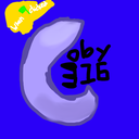 coby316
